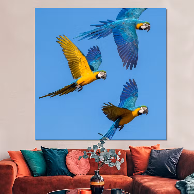 Forex - Papagaai - Vliegen - Blauw - Geel — 3