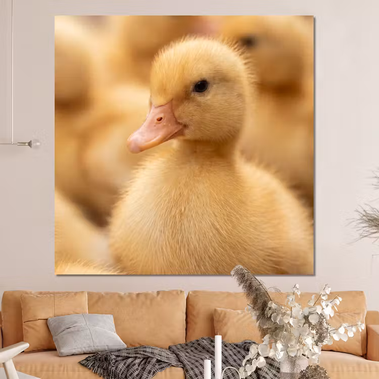 Forex - Pijltje - Eend - Natuur - Geel — 4