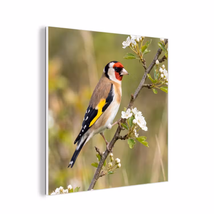 Forex - Putter - Bloesem - Lente - Natuur - Kleurrijk — 1