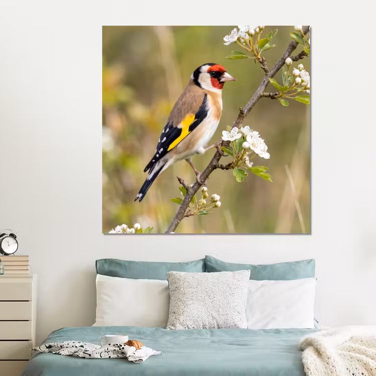 Forex - Putter - Bloesem - Lente - Natuur - Kleurrijk — 2