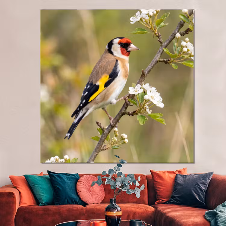 Forex - Putter - Bloesem - Lente - Natuur - Kleurrijk — 3