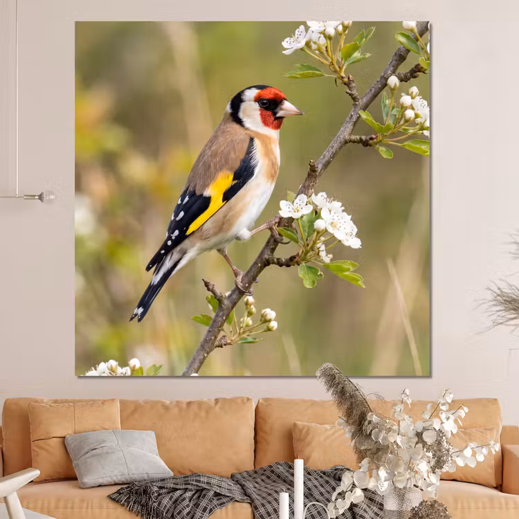 Forex - Putter - Bloesem - Lente - Natuur - Kleurrijk — 4