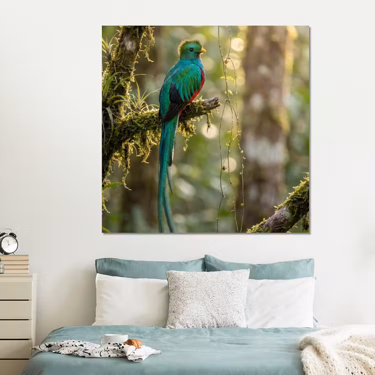 Forex - Quetzal - Jungle - Natuur - Groen — 2