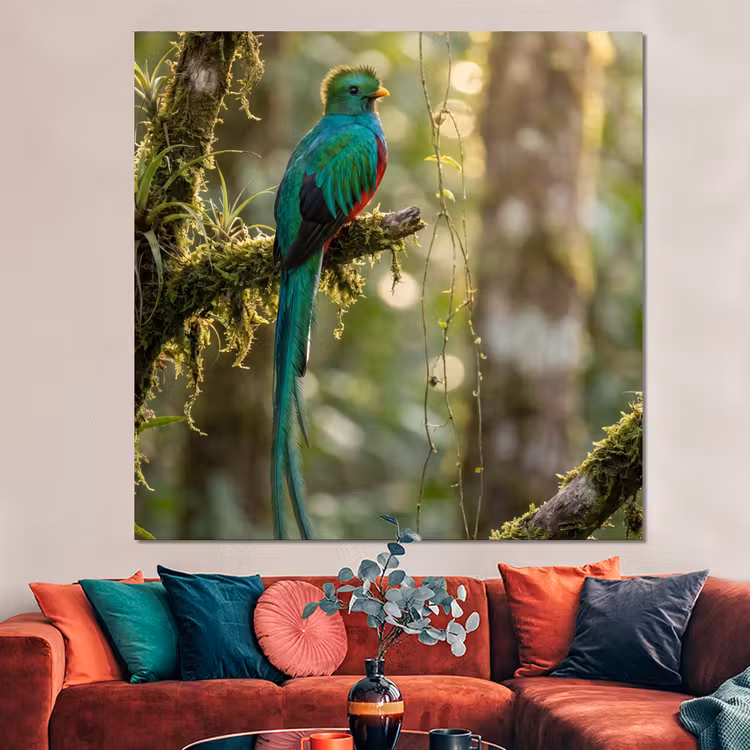 Forex - Quetzal - Jungle - Natuur - Groen — 3