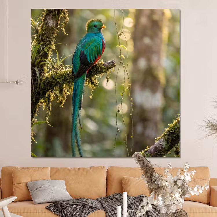 Forex - Quetzal - Jungle - Natuur - Groen — 4