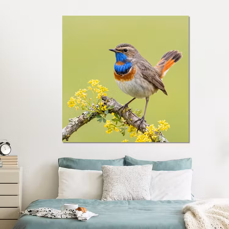 Forex - Vogel - Tak - Natuur - Kleurrijk — 2