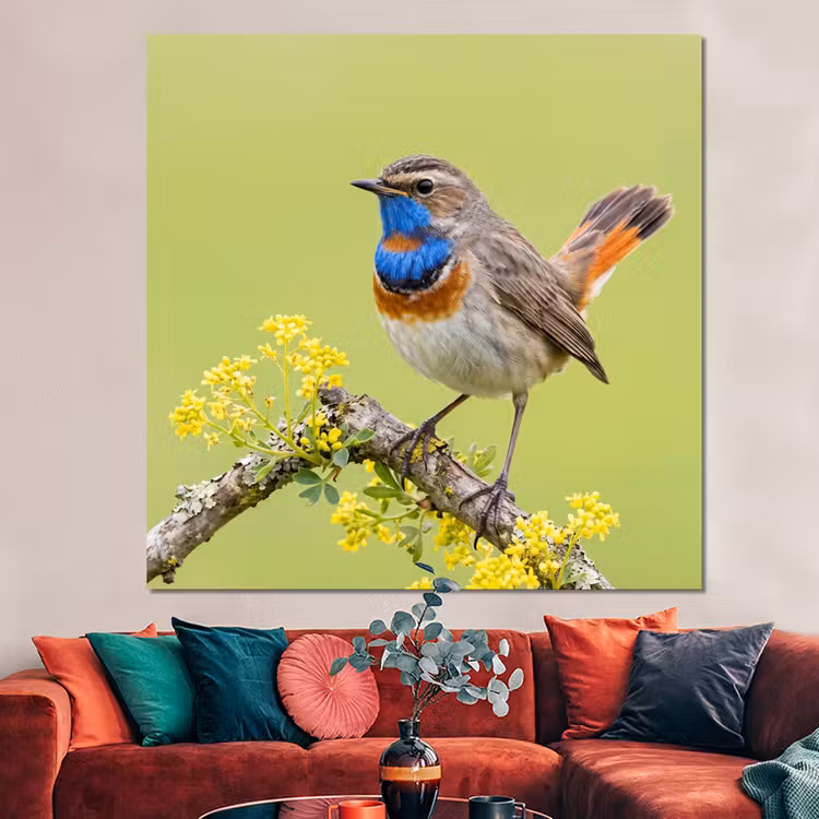 Forex - Vogel - Tak - Natuur - Kleurrijk — 3