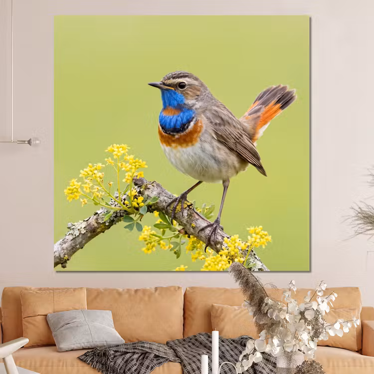 Forex - Vogel - Tak - Natuur - Kleurrijk — 4