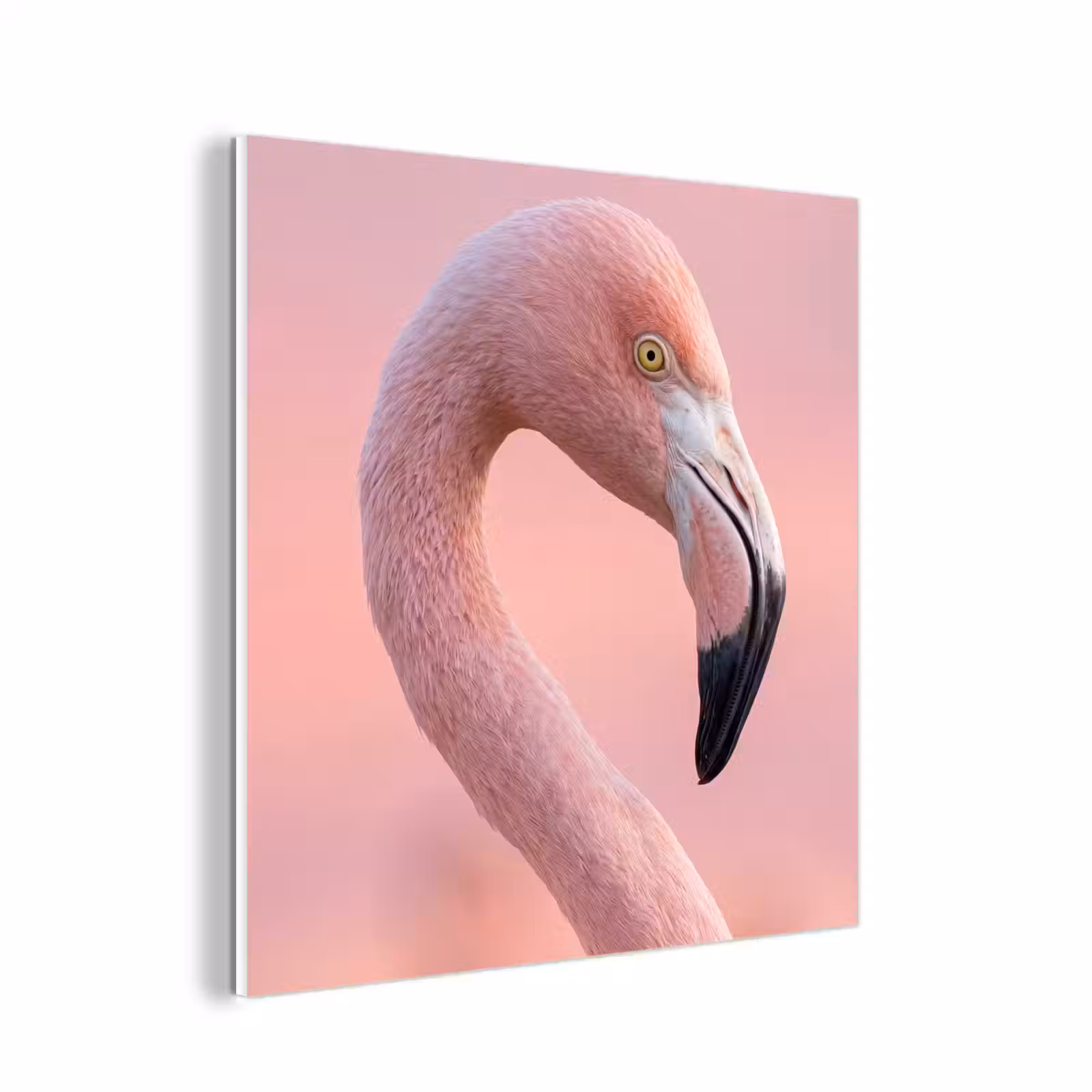 Forex - Flamingo - Portret - Roze — 1