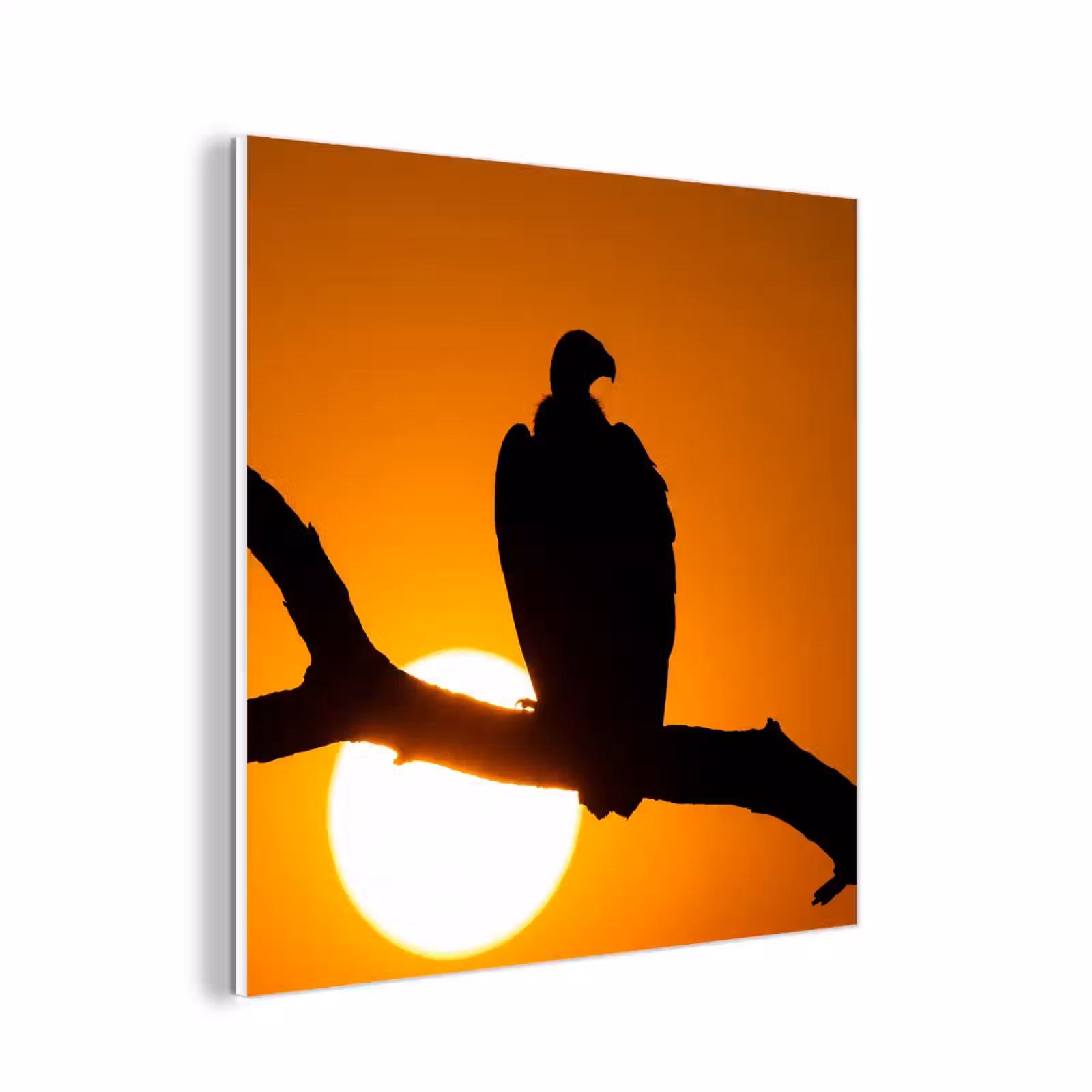 Forex - Gier - Tak - Zon - Oranje — 1