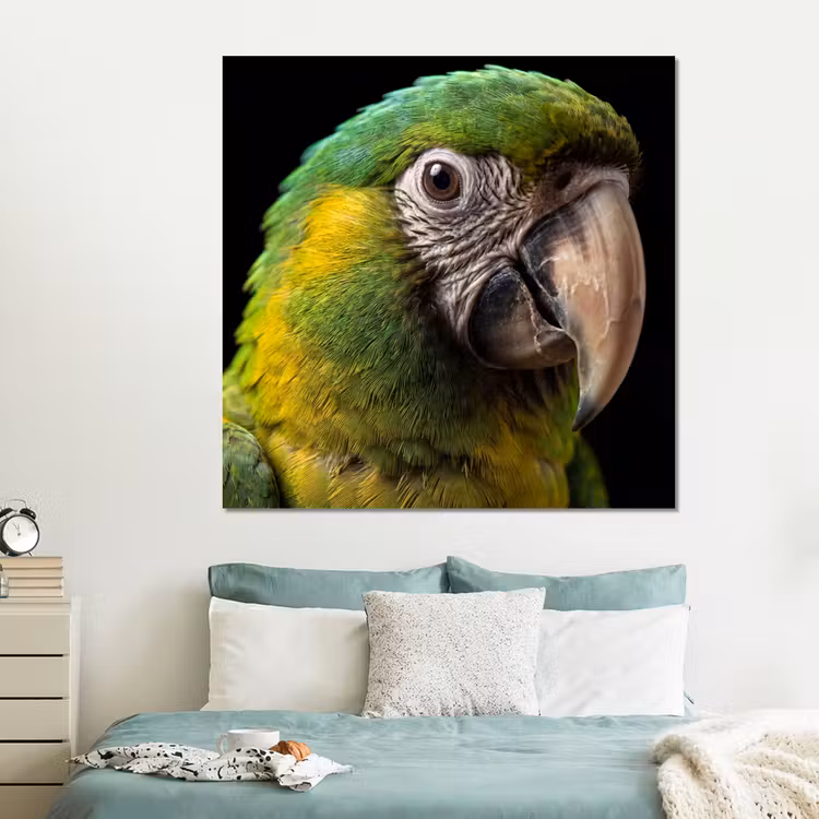 Forex - Ara - Portret - Groen — 2