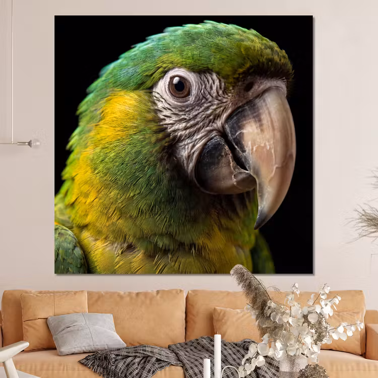 Forex - Ara - Portret - Groen — 4