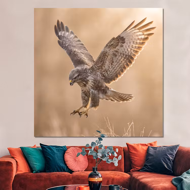 Forex - Buizerd - Roofvogel - Natuur - Bruin — 3