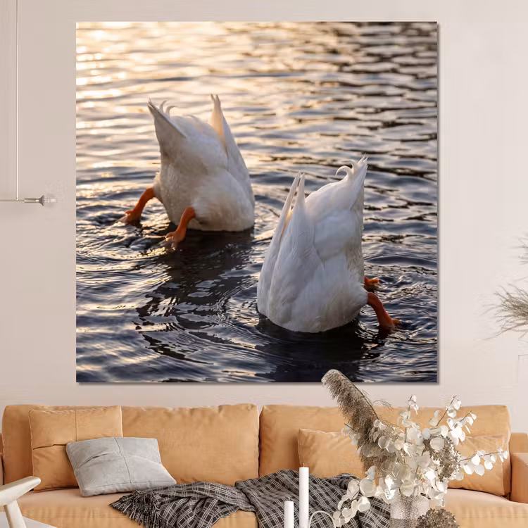 Forex - Eenden - Water - Natuur — 4