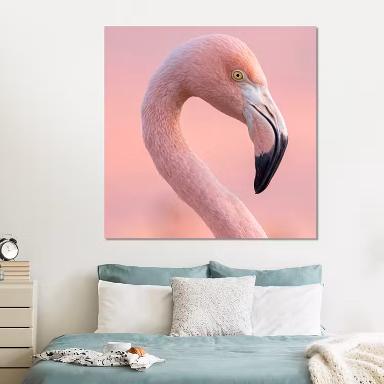 Forex - Flamingo - Portret - Roze — 2