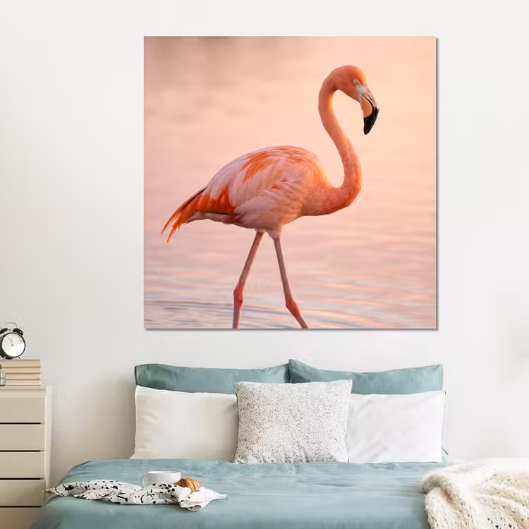 Forex - Flamingo - Water - Roze — 2