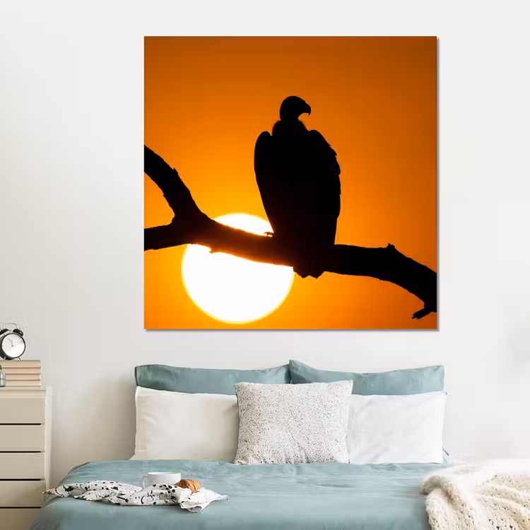 Forex - Gier - Tak - Zon - Oranje — 2