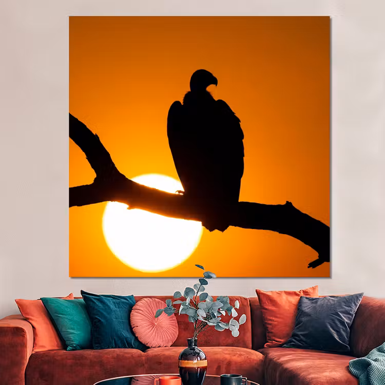Forex - Gier - Tak - Zon - Oranje — 3