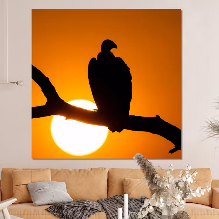 Forex - Gier - Tak - Zon - Oranje — 4