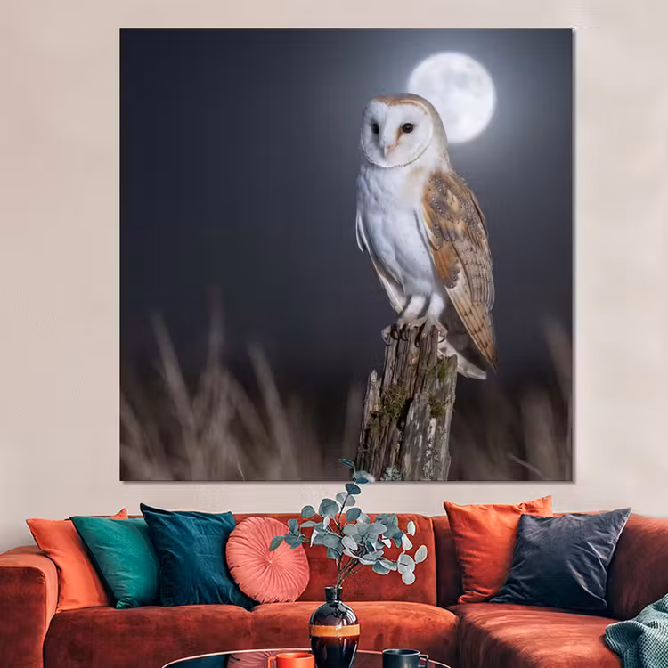 Forex - Kerkuil - Maan - Nacht — 3