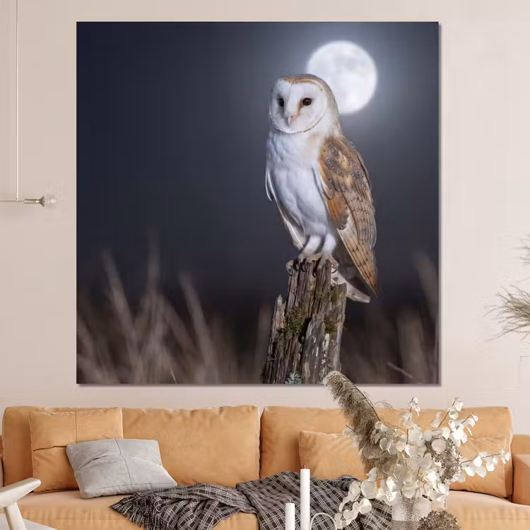 Forex - Kerkuil - Maan - Nacht — 4