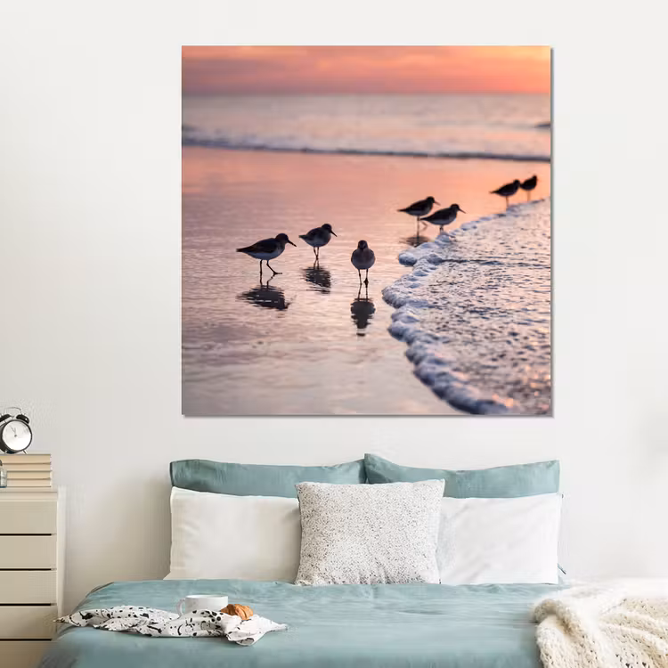 Forex - Meeuwen - Strand - Zee - Roze — 2