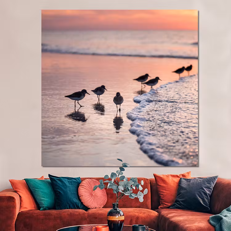 Forex - Meeuwen - Strand - Zee - Roze — 3