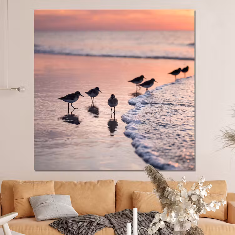 Forex - Meeuwen - Strand - Zee - Roze — 4