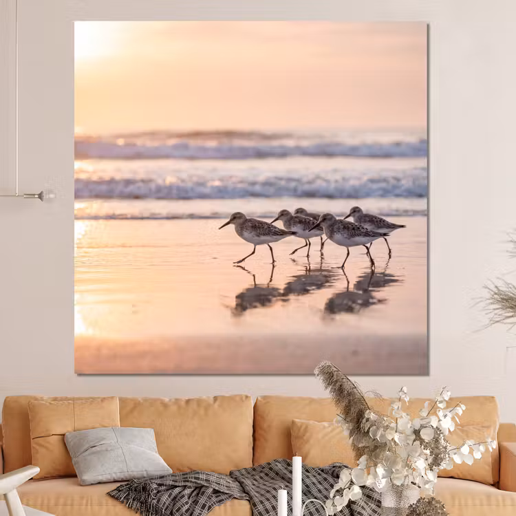 Forex - Zee - Vogels - Strand — 4