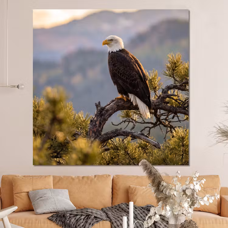 Forex - Zeearend - Boom - Bergen - Groen — 4