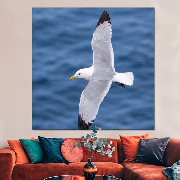 Forex - Zeemeeuw - Oceaan - Blauw — 3
