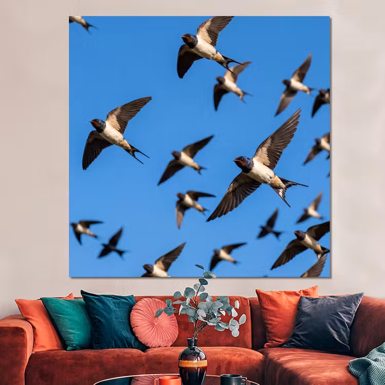 Forex - Zwaluwen - Vliegen - Blauw — 3