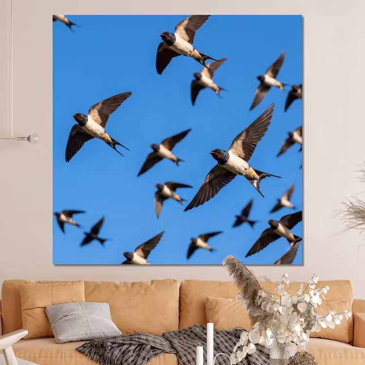 Forex - Zwaluwen - Vliegen - Blauw — 4