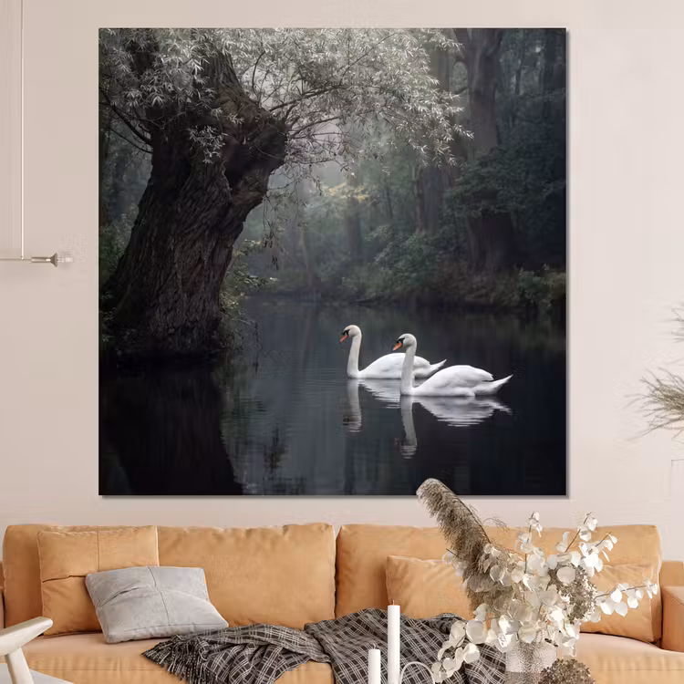Forex - Zwanen - Rivier - Bos — 4