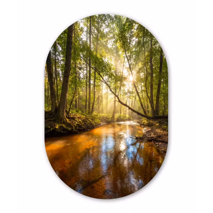Muurovaal aluminium - Bos - Beek - Zonlicht - Natuur - Groen — 1