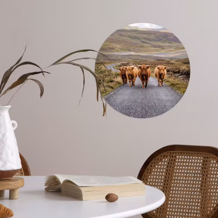 Behangcirkel - Schotse Hooglanders - Weg - Landschap - Kudde — 4