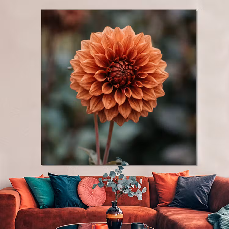 Forex - Dahlia - Bloem - Natuur - Sfeervol — 3
