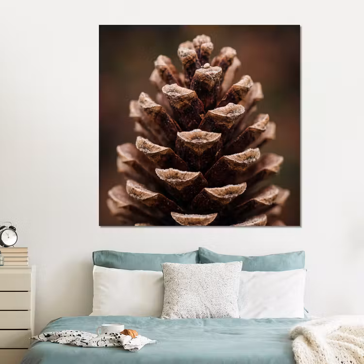 Forex - Dennenappel - Bos - Herfst - Bruin - Sfeervol — 2