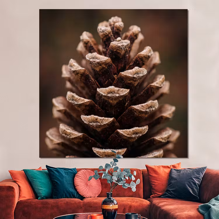 Forex - Dennenappel - Bos - Herfst - Bruin - Sfeervol — 3