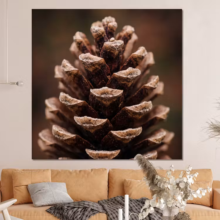 Forex - Dennenappel - Bos - Herfst - Bruin - Sfeervol — 4