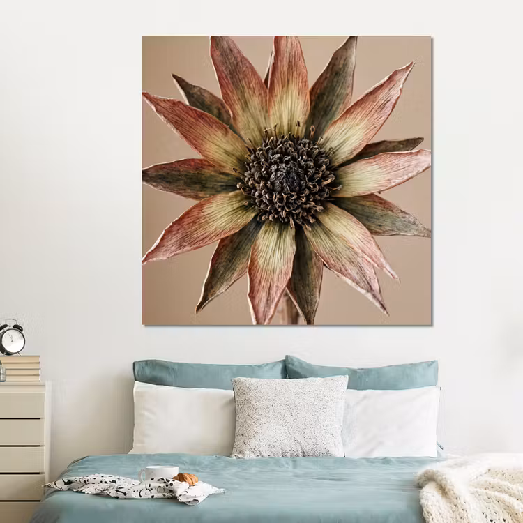 Forex - Droogbloem - Protea - Vintage - Beige - Rustiek — 2