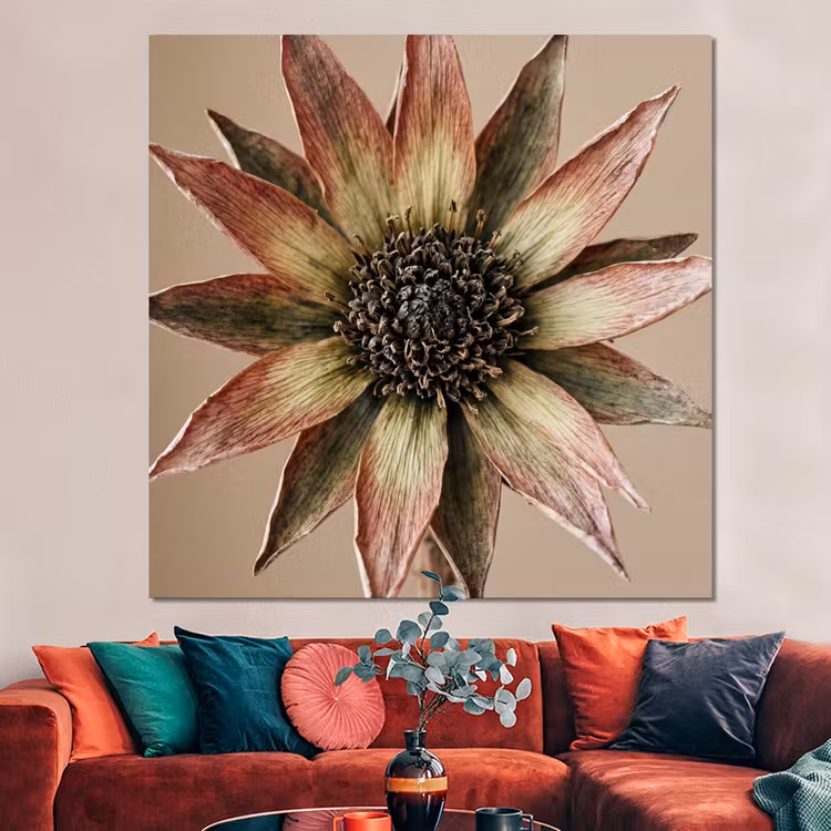 Forex - Droogbloem - Protea - Vintage - Beige - Rustiek — 3