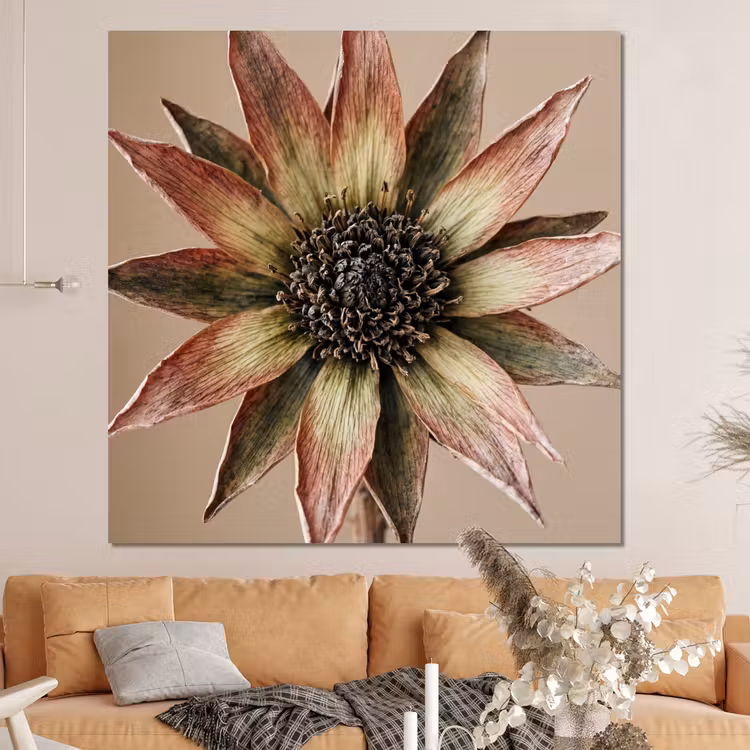 Forex - Droogbloem - Protea - Vintage - Beige - Rustiek — 4