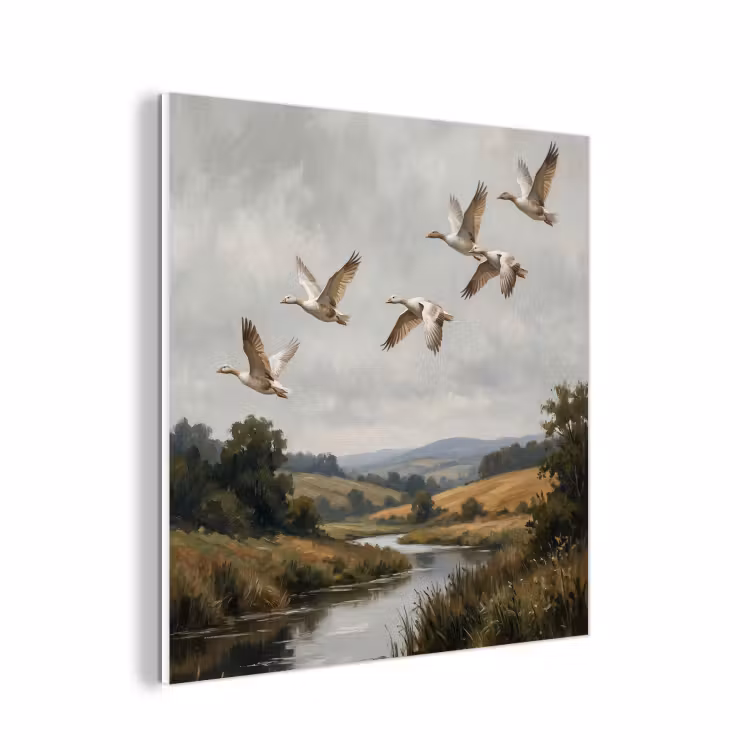 Forex - Eenden - Rivier - Landschap - Vlucht - Nostalgisch — 1