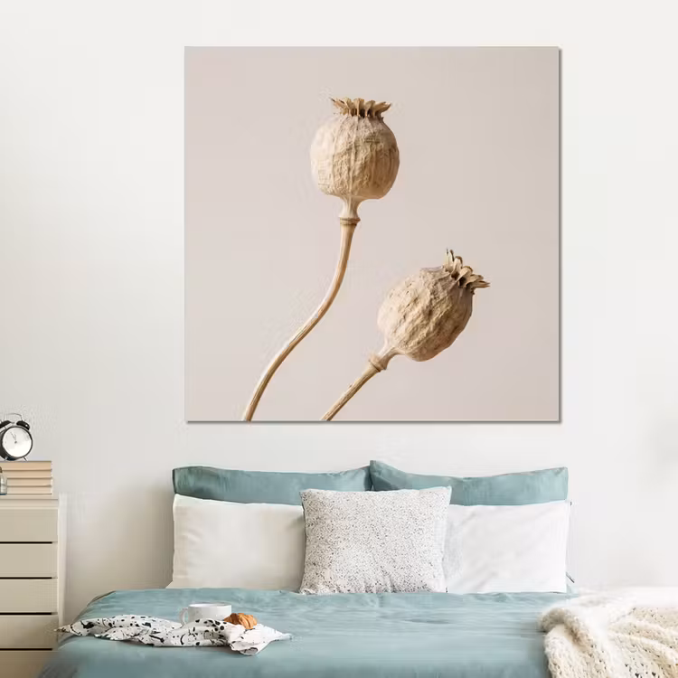 Forex - Papaverbollen - Droogbloemen - Minimalistisch - Beige - Rustig — 2