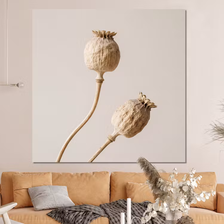 Forex - Papaverbollen - Droogbloemen - Minimalistisch - Beige - Rustig — 4