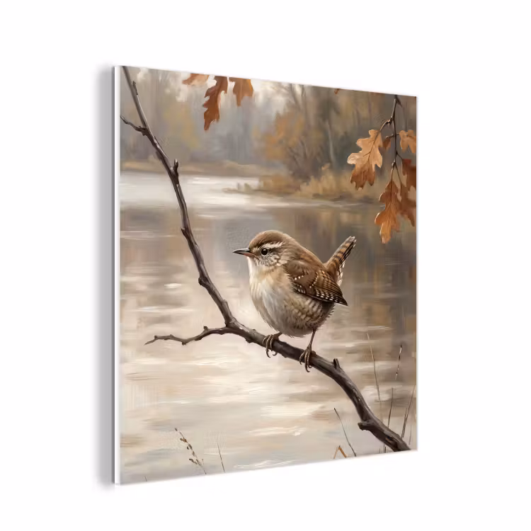 Forex - Winterkoninkje - Tak - Rivier - Natuur - Sfeervol — 1