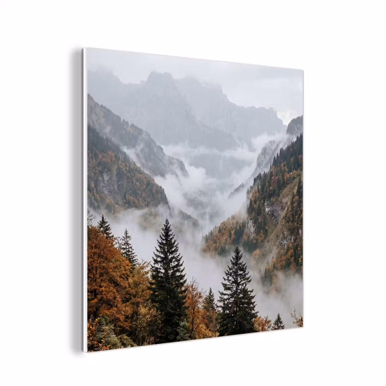 Forex - Bergen - Vallei - Mist - Herfst - Natuur — 1