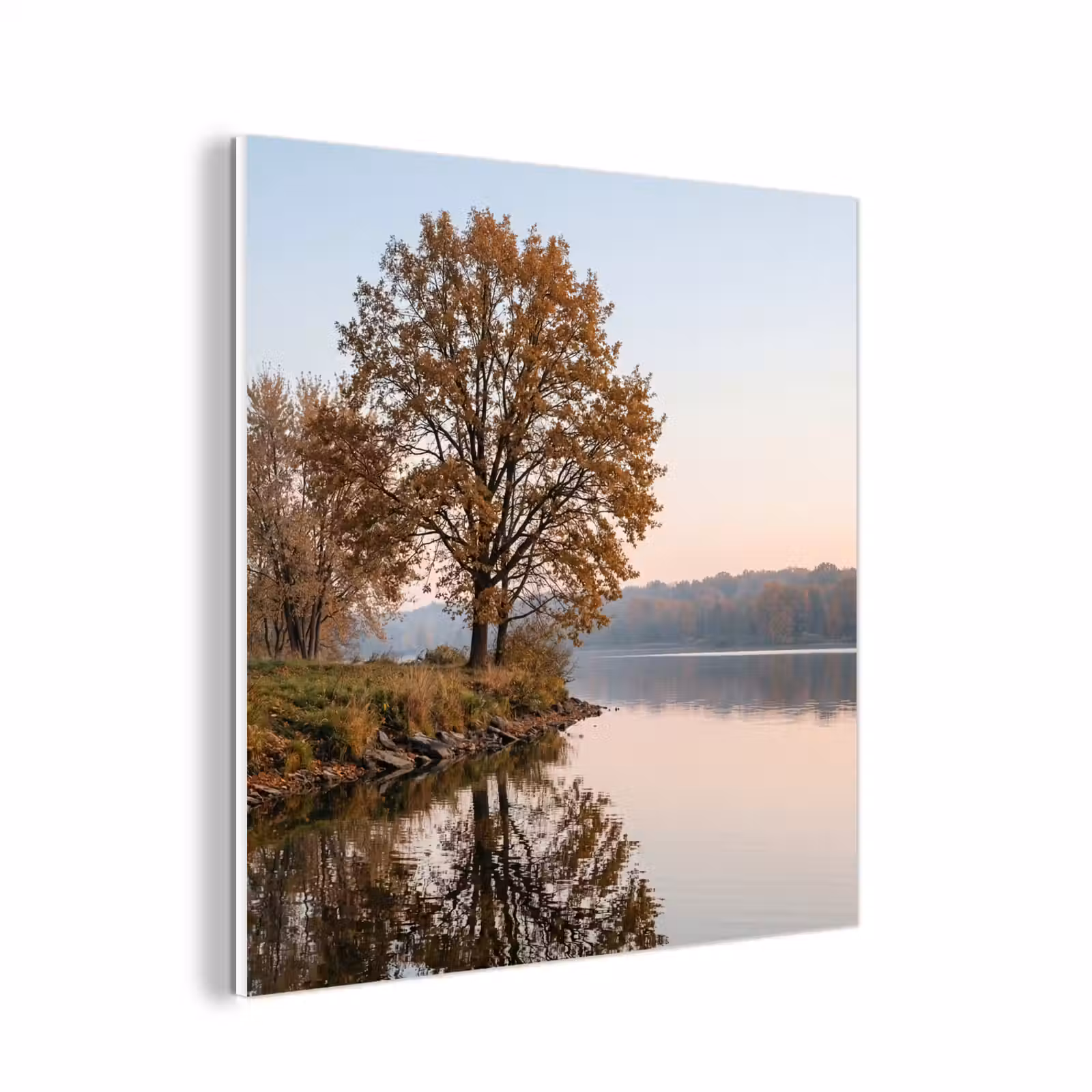 Forex - Bomen - Reflectie - Water - Zonsopgang - Serene — 1
