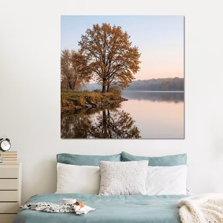 Forex - Bomen - Reflectie - Water - Zonsopgang - Serene — 2